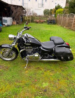 Triumph Thunderbird - Reinheim Zentrum