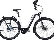 E-Bike PEGASUS Premio EVO 5 Lite COMFORT Bosch CX mit 85Nm 625Wh 5 Gang UVP  4.299,00 € - Heinsberg