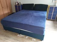 Boxspringbett 180 x 200 cm - Steinfurt