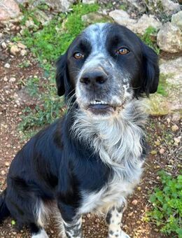 Hallo, ich bin Rasmus 💞 - Völklingen