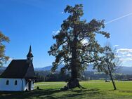 Bestlage bei Traunstein (3km) - Wohnhaus mit 3 Wohneinheiten in sonniger Alleinlage auf Anhöhe - Traunstein