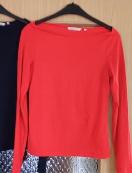 Tom Tailor zwei Shirts Gr. M wie Neu - Waldbronn