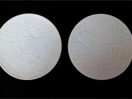 2 DDR Medaillen aus Meißner Porzellan - Senftenberg