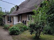 Reetdachhaus mit Weitblick in idyllischer Lage bei Anklam - Bargischow