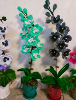 Orchideen selbst gemacht - Lauda-Königshofen