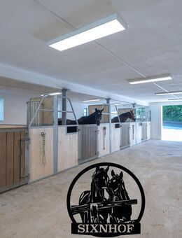 Reitstall, Pferdestall, Stall, Pferdebox, mieten - Altomünster