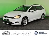 VW Golf Variant, 1.0 TSI Comfortline |, Jahr 2020 - Herzberg (Elster)