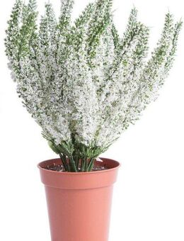 Kunstblume Erika in braunem Kunstofftopf, Botanic-Haus, Höhe 29 cm