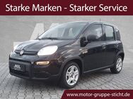 Fiat Panda, # # #, Jahr 2024 - Bayreuth