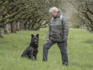 Lotte - eine Seele mit grossem Herzen - Idstein