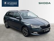 Skoda Fabia, 1.0 TSI C Drive 125 Best Of, Jahr 2020 - Amelinghausen