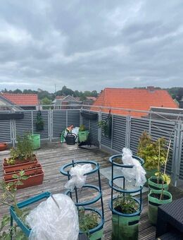 Individuell geschnittene 3-Zimmer Wohnung in zentraler Lage von Preetz - Preetz (Schleswig-Holstein)