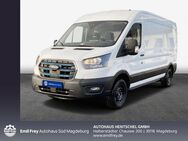 Ford Transit 350 L3H2 Lkw HA Trend - Magdeburg