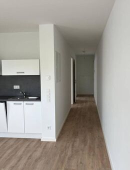 2-Zimmer-Apartment im 1.OG inclusive Küche - Bamberg