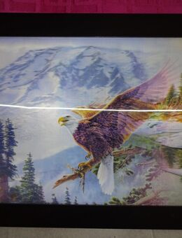 3-D Wandbild in dekorativem Rahmen zu verkaufen "Adler" - Walsrode