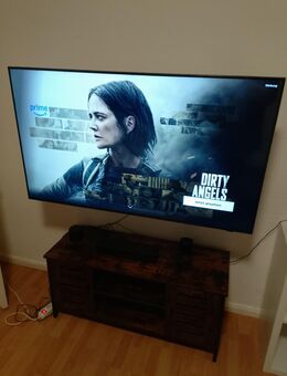 Fernseher 55 Zoll Samsung - Pinneberg