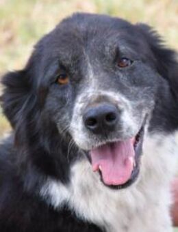 Angela freut sich auf Sie - Neuss