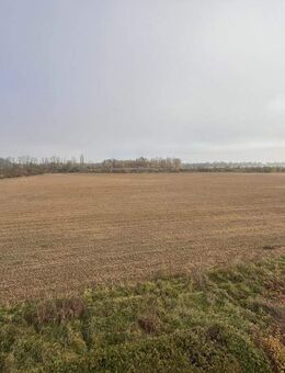 Freies Unverbautes 6-Zimmer Reihenendhaus mit Garten in Neutraubling - Neutraubling