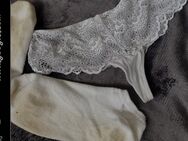 Getragene Wäsche Slips und Socken - Niemetal
