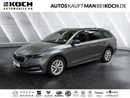 Skoda Octavia, 2.0 TDI Combi Style TOP, Jahr 2024 - Königs Wusterhausen Zentrum