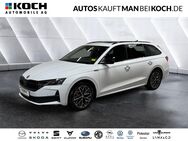 Skoda Octavia, 1.5 TSI Combi e-TEC Sportl DAC, Jahr 2024 - Schorfheide