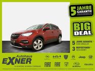 Opel Grandland X 1.6 Turbo Hybrid 4 ELEGANCE Navi,LED - Hof