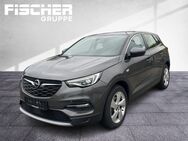 Opel Grandland X, Grandland (X) Innovation Fahrera, Jahr 2020 - Esslingen (Neckar)