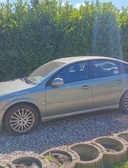 Opel Vectra C - Krummwisch