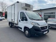 Fiat Ducato 2.3 130 * Kühlkoffer * Navi * TMP * - Ober-Mörlen