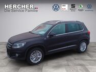 VW Tiguan, 2.0 TSI Cup, Jahr 2014 - Riesa