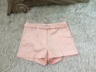 NEU elegant Hose 100% Bio Baumwolle Hotpants Short S 36 - Haan