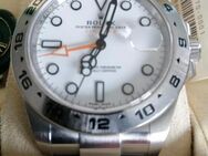 Explorer II Referenz 216570 - Wachtberg