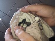 Zwei Sugar Glider Weibchen - Lübeck