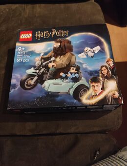 Lego von Harry Potter - Kaiserslautern