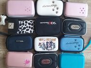 Nintendo DS Tasche DS Lite DSi 3DS New 3DS - Bad Salzuflen Werl-Aspe