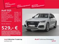 Audi SQ5, TDI qu, Jahr 2020 - München