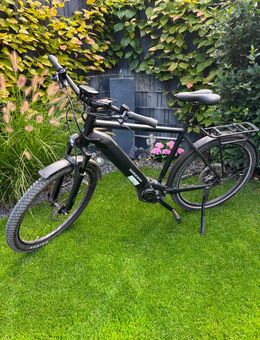 Winora Yucatan 12 Pro Diamant E-Bike - Reken