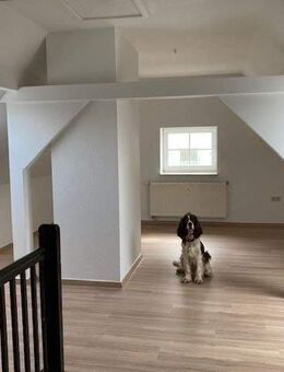 +++Stylische Dachgeschosswohnung mitten im grünen Lengenfeld+++ - Lengenfeld