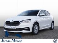 Skoda Fabia, 1.0 Style, Jahr 2023 - Bad Harzburg