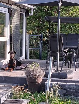 Modulhaus - Tiny House - Tauche
