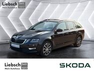 Skoda Octavia, 2.0 l TDI Combi Ambition Soleil A, Jahr 2019 - Lübben (Spreewald)