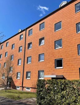 Sanierte 2-Zimmer-Wohnung im 3. OG in Soltau - Soltau