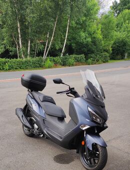 🛵 SYM Joymax 300 Z+ - Hamburg