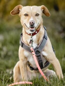 LARA - lernwillige sportliche Lady - Velbert