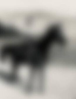 Pat*** - Werne