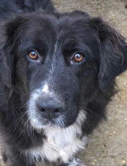 Valerie - Kleiner Wonneproppen - Obertshausen