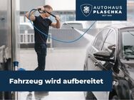 VW Polo, 1.0 TSI Highline, Jahr 2019 - Amelinghausen