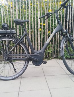 City E- Bike Greens Sussex gebraucht - Grefrath (Sport- und Freizeitgemeinde)