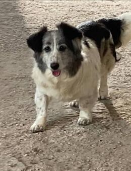 Kuklitza unser Püppchen - Grasbrunn