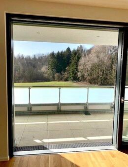 2,5-Zimmer-Wohnung mit Einbauküche und Balkon - Bad Säckingen